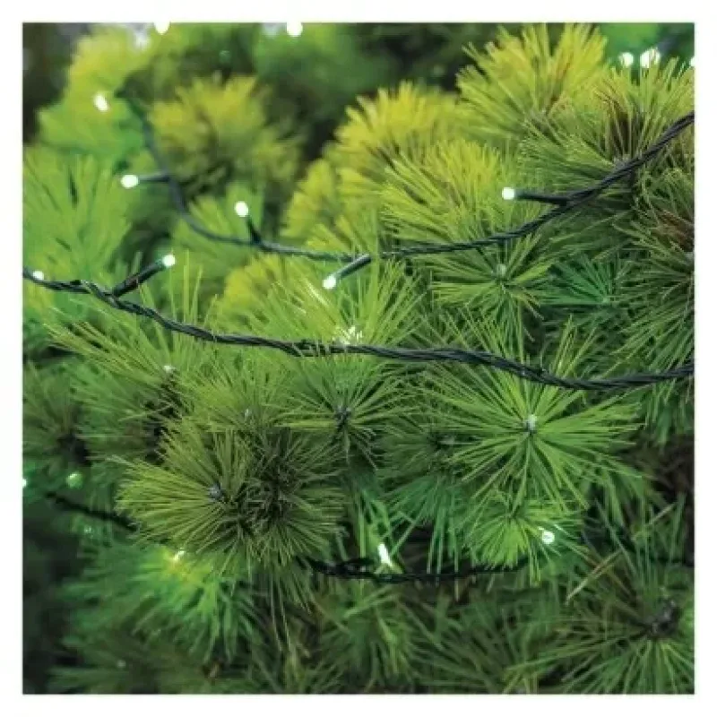 Standard LED sorolható karácsonyi füzér, 10 m, kültéri és beltéri, zöld -  D1AG01