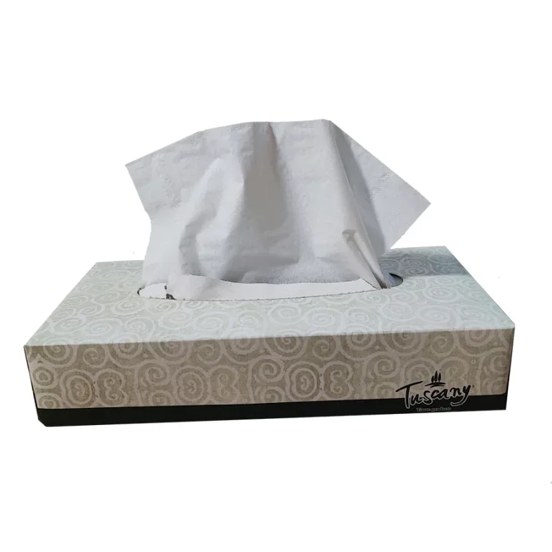 Kozmetikai kendő, 100 lapos, 2 rétegű