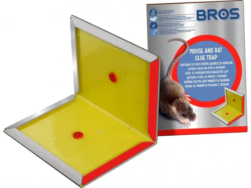 Egérfogó Ragasztós Lap- Mogyoró aromával B1740